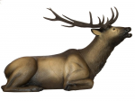 (image for) SRT Elk Bedded