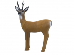 (image for) SRT Roebuck standing