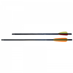 EK Archery Armbrustbolzen Carbon 20" (Bild für) EK Archery Armbrustbolzen Carbon 20"