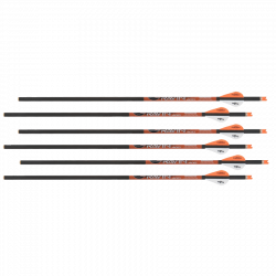 (image for) Ravin Standard Crossbow Bolts .003 (6/pack)