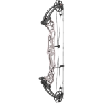 Hoyt Concept XTS 34 Compound Bogen (Bild für) Hoyt Concept XTS 34 Compound Bogen