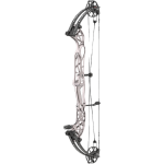 (Bild für) Hoyt Concept XTS 37 Compound Bogen