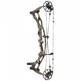 (image for) Hoyt RX-10 Compound Bogen