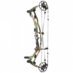 (image for) Hoyt RX-10 Compound Bogen