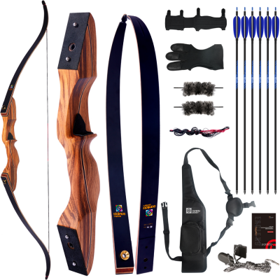 (Bild für) Sanlida Eagle X9 T/D Recurve Bogen Set