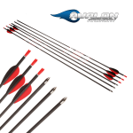 (image for) Avalon Tyro Carbon Arrow - ready to shoot (4.2)