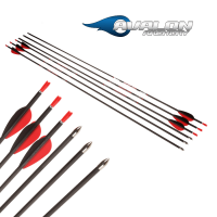 Avalon Tyro Carbon Komplettpfeil - schussfertig (4.2)