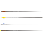 (image for) Avalon Tyro Carbon Arrow ready to shoot (4.2) with Feathers