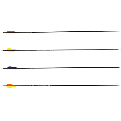 (image for) Avalon Tyro Carbon Arrow ready to shoot (4.2) with Feathers
