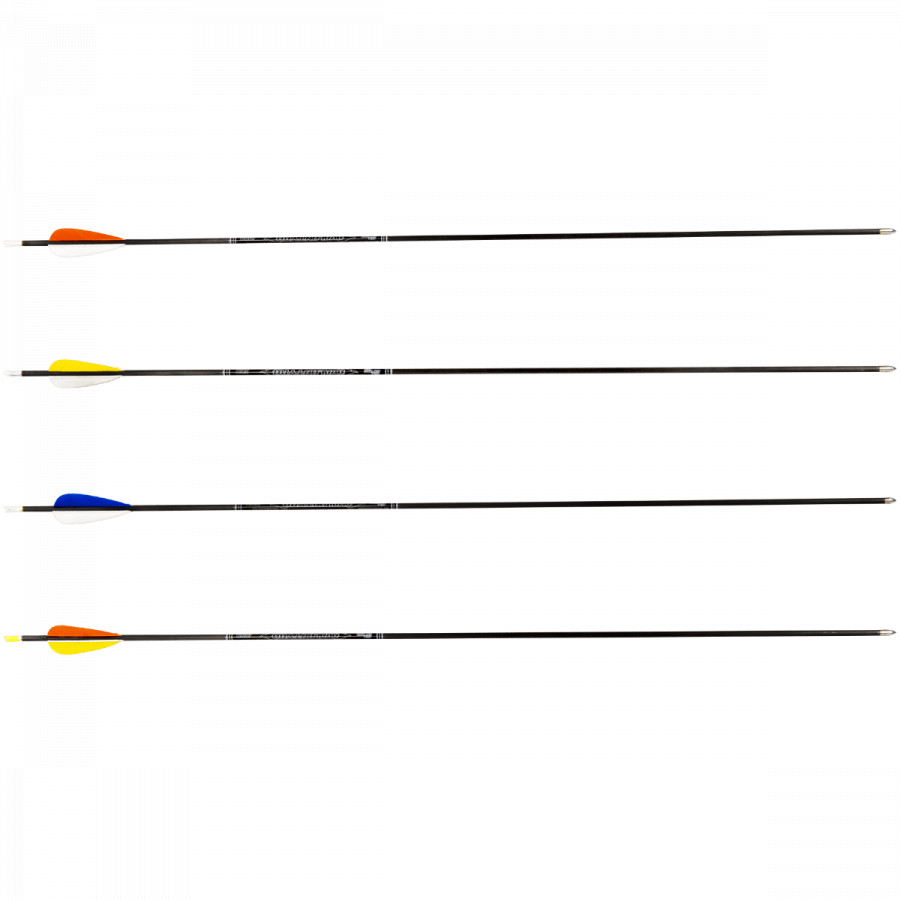 (image for) Avalon Tyro Carbon Arrow ready to shoot (4.2) with Feathers