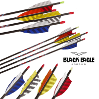 Black Eagle Intrepid (±0.006) Carbon Fertigpfeil Natur (4.2)