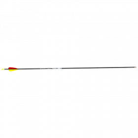 (Bild für) Core Jet Carbon Fertigpfeil für Einsteiger (schussfertig)