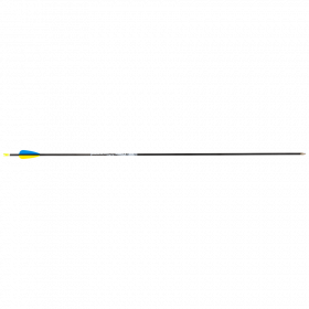 (Bild für) Core Jet Carbon Fertigpfeil für Einsteiger (schussfertig)