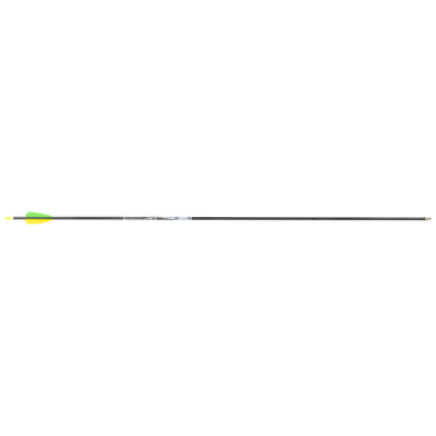 (Bild für) Core Jet Carbon Fertigpfeil für Einsteiger (schussfertig)