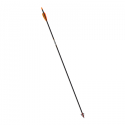 (Bild für) Easton Powerflight Carbonschaft (Dutzend)