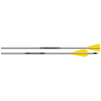 (Bild für) Easton XX75 Platinum Plus Aluminium Schaft (Dutzend)
