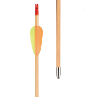 EK Archery Eco Holzpfeil komplett
