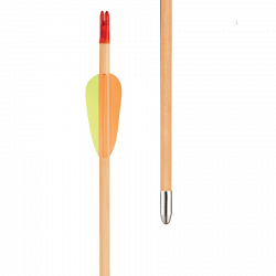 (image for) EK Archery Eco Complete Wooden Arrow