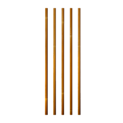 Penthalon Slim Line Bamboo Carbonschaft (Bild für) Penthalon Slim Line Bamboo Carbonschaft