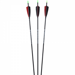 (image for) Penthalon Traditional Black Carbon Arrow with Feathers