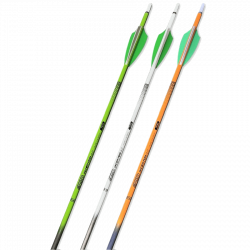 Shocq Inceptor Carbon Fertigpfeil mit Vanes (4.2) (Bild für) Shocq Inceptor Carbon Fertigpfeil mit Vanes (4.2)