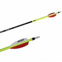 (image for) Shocq Pavo (±0.003) Carbon Arrow (6.2)