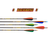 (image for) Skylon Backbone (±0.003) Carbon Arrow (5.2) with 4" Feathers