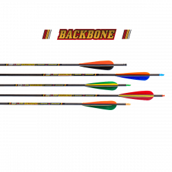 Skylon Backbone (±0.003) Carbon Fertigpfeil (5.2) mit 4" Naturfedern (Bild für) Skylon Backbone (±0.003) Carbon Fertigpfeil (5.2) mit 4" Naturfedern