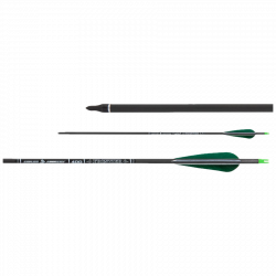 (image for) Skylon Frontier (±0.006) Carbon Arrow with Feathers (6.2) *READ TO SHOOT*