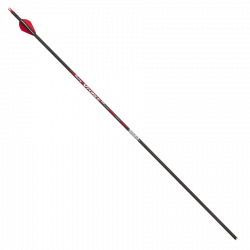 (image for) Victory VForce Sport (±0.006) Carbon Shaft (x12)