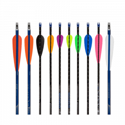 (Bild für) AAE Arizona Elite Plastifletch Vanes