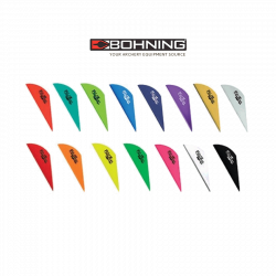 (image for) Bohning Blazer Vanes