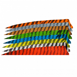 (Bild für) Gateway Naturfeder 3" RW (Shield) Barred Farben