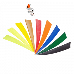 (image for) Gateway Feathers 3" RW (Shield)