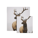 (image for) Bearpaw Animal Target Face Rabbit or Wild Boar