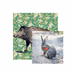 (image for) Bearpaw Animal Target Face Rabbit or Wild Boar