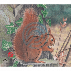 JVD Tierbildauflage Eichhörnchen (25cm) (Bild für) JVD Tierbildauflage Eichhörnchen (25cm)