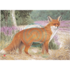 JVD Tierbildauflage Fuchs (Bild für) JVD Tierbildauflage Fuchs