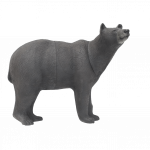 (Bild für) SRT Braunbär