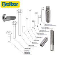 (image for) Beiter V-Box Screws and Thread-Adaptors