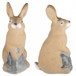 (image for) 3D-Int Bunny