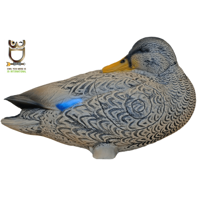 3D-Int Ente (Bild für) 3D-Int Ente