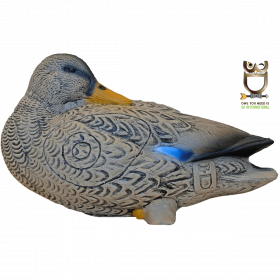 (image for) 3D-Int Duck