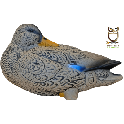 3D-Int Ente (Bild für) 3D-Int Ente