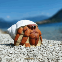 (image for) 3D-Int Hermit Crab