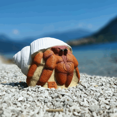 (image for) 3D-Int Hermit Crab