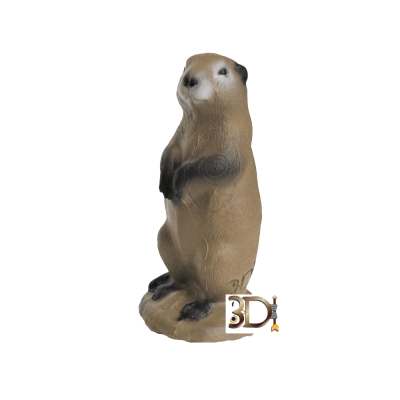 (image for) 3D-Int Prairie Dog