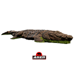 (Bild für) Wildcrete 3D Krokodil