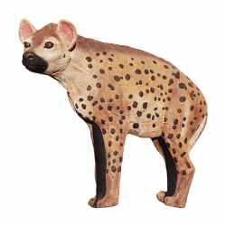 (Bild für) Wildcrete 3D Hyäne groß