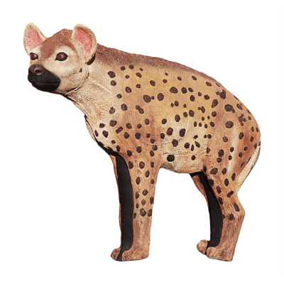 A generic image